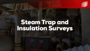 Steam Trap Surveys & Insulation Surveys - Encorus