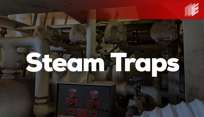 Mechanical Integrity Steam Traps