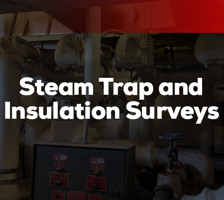 Steam Trap Surveys & Insulation Surveys - Encorus